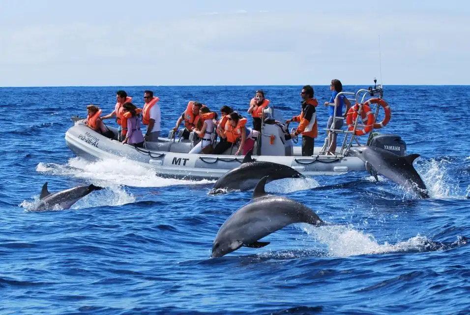 Private 4-Hour Speed Boat Trip in Hurghada | Swim with Dolphins & Snorkeling