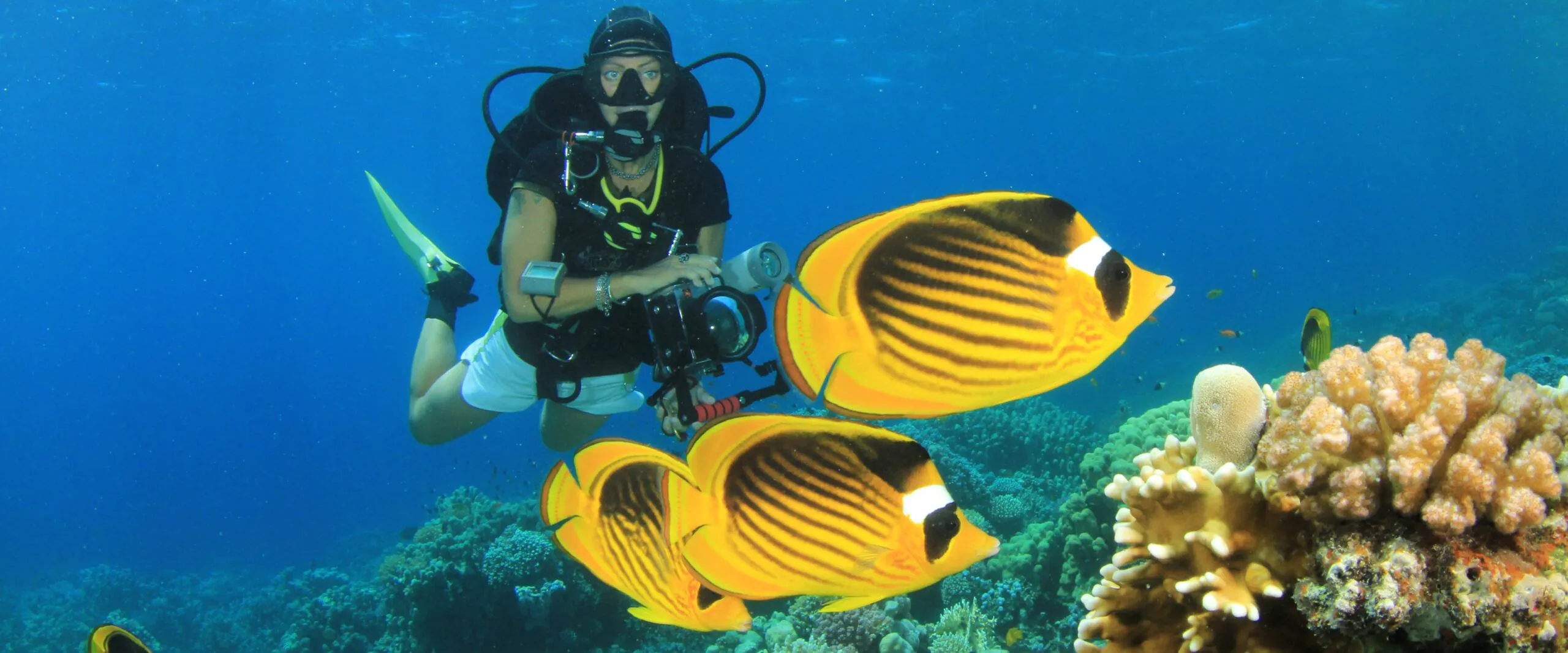 Home Page 3 Marsa Alam