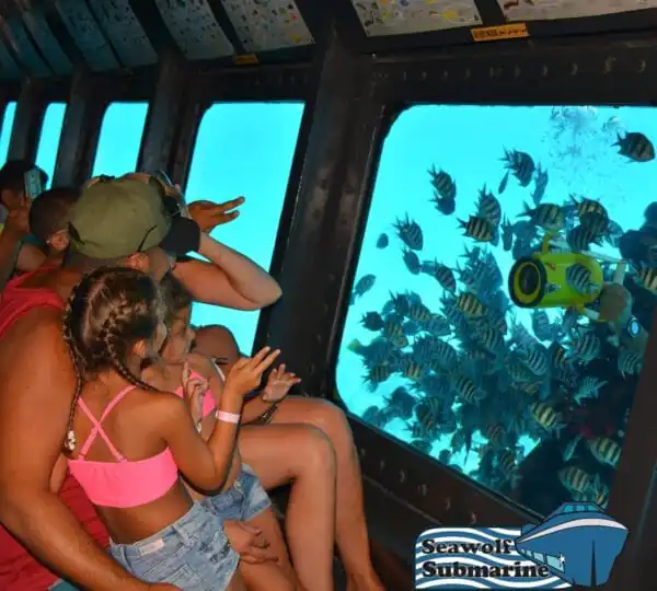 Panorama Semi-Submarine Tour in Hurghada with Snorkeling – 3 Hours