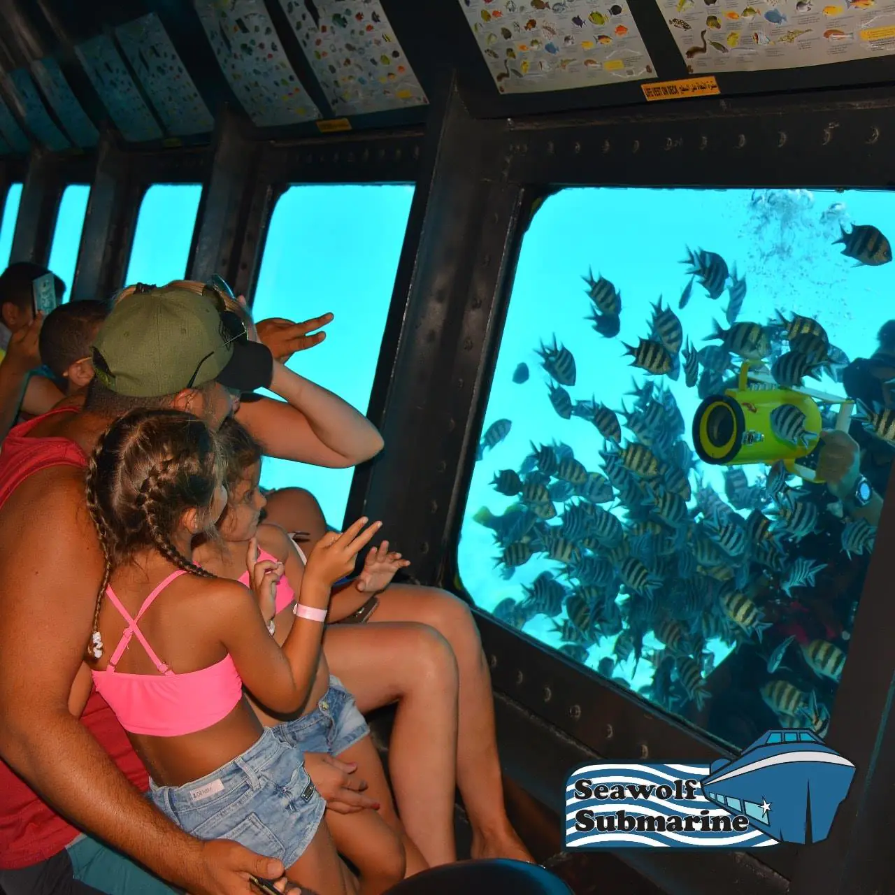 Panorama Semi-Submarine Tour in Hurghada with Snorkeling – 3 Hours
