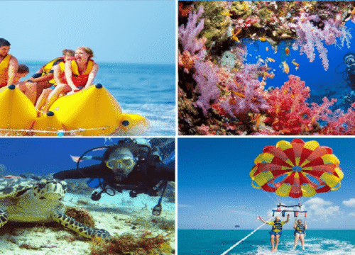 Diving and Fun in Sharm El Sheikh with private Transfer