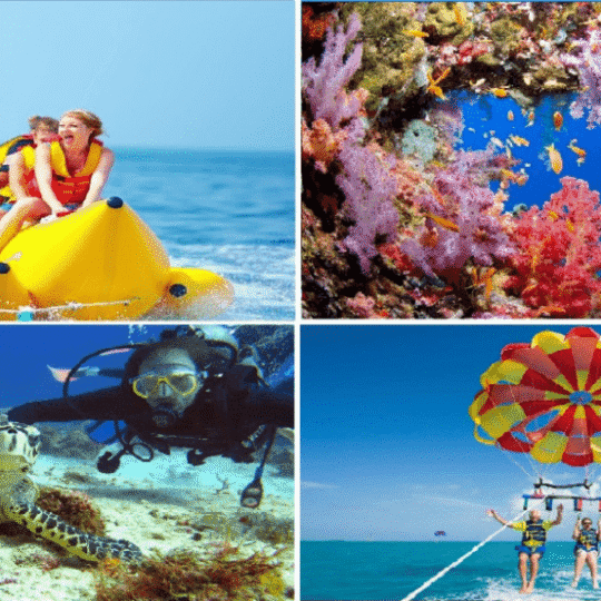 Diving and Fun in Sharm El Sheikh with private Transfer