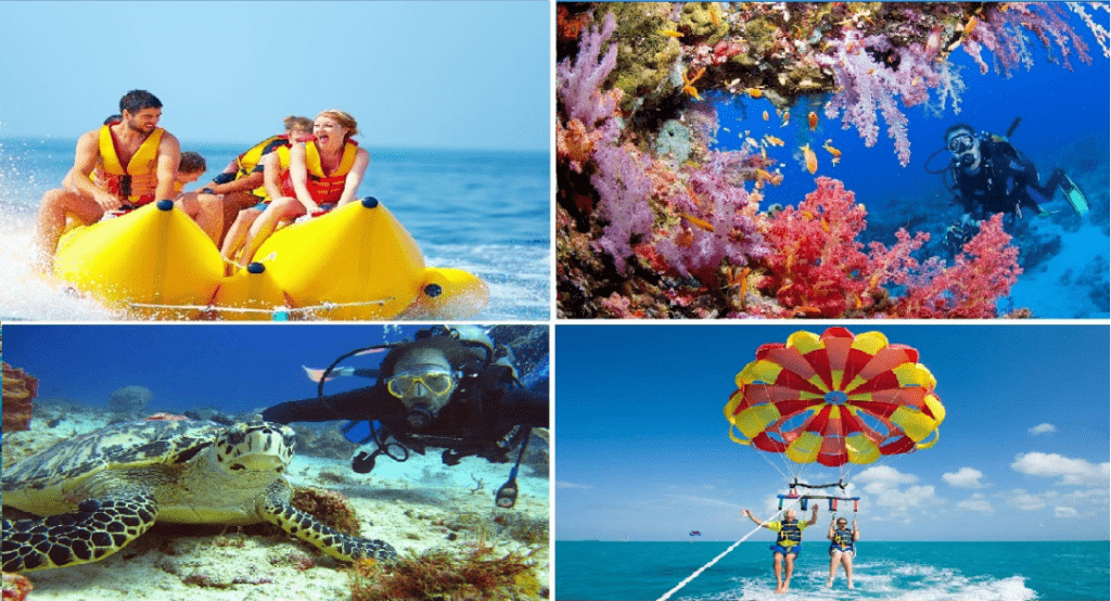 Diving and Fun in Sharm El Sheikh with private Transfer