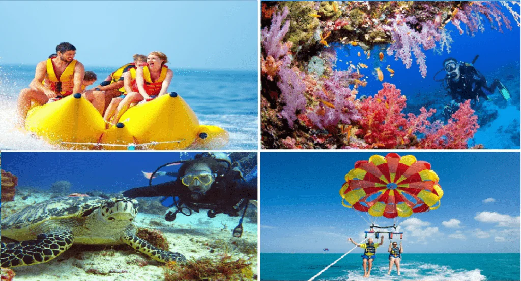 Diving and Fun in Sharm El Sheikh with private Transfer