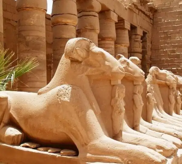 Egypt Tours