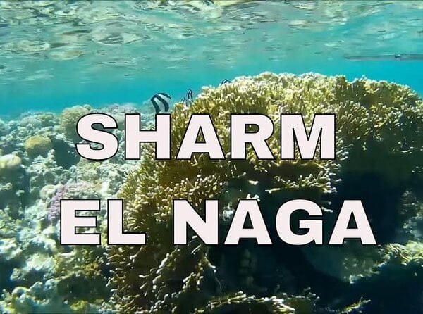 Sharm El Naga Snorkeling Trip