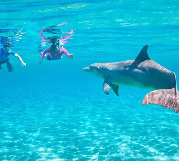 Egypt Tours