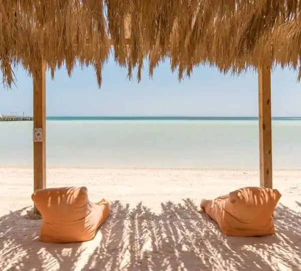 Egypt Tours