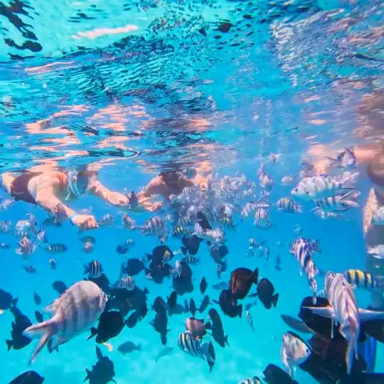 Egypt Tours