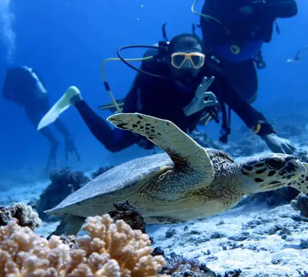 Egypt Excursions