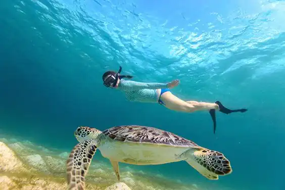 Egypt Tours