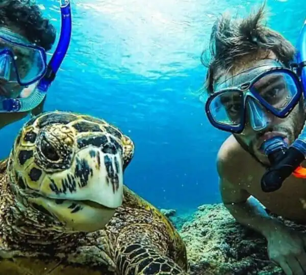 Egypt Tours