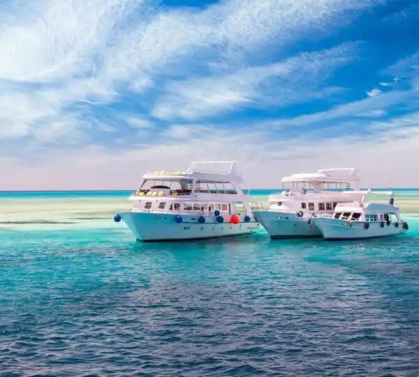 Egypt Tours