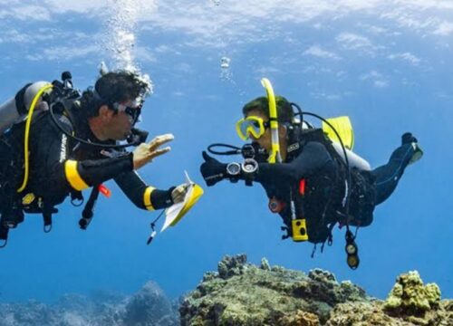 Marsa Alam: Discover Scuba Diving 6-Hour Tour