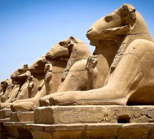 Day Trip To Luxor By Plane From Sharm El Sheikh