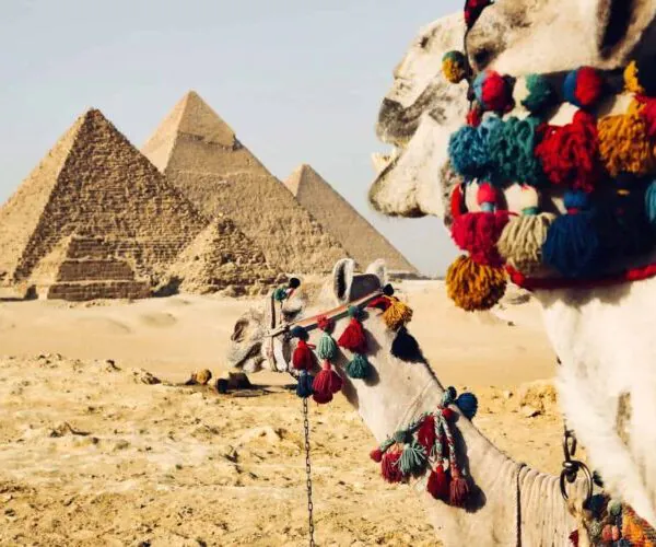 Egypt Tours