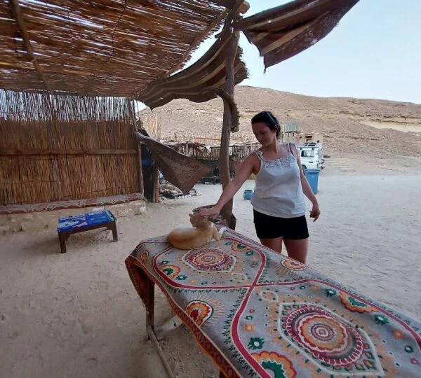 Egypt Tours