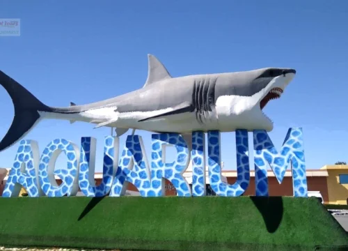 Hurghada Grand Aquarium Trip with Transfer – Tickets & Hotel Pickup