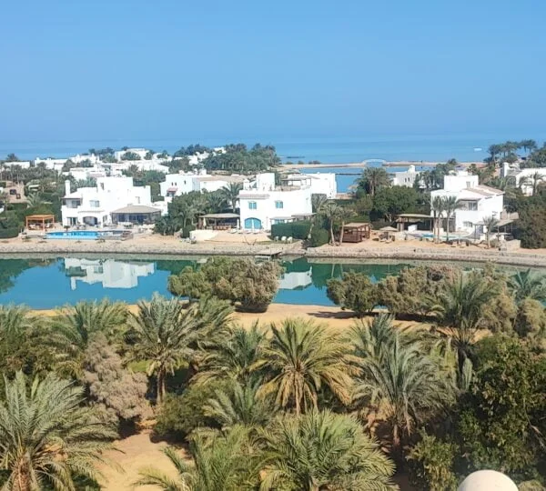 Egypt Tours