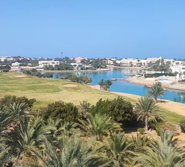 Egypt Tours