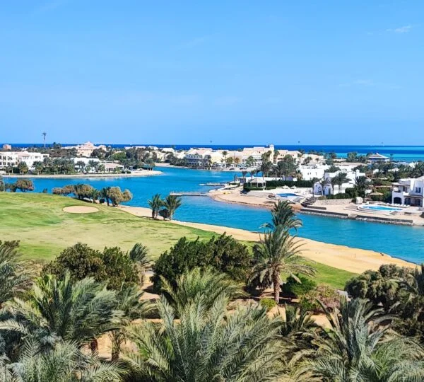 Egypt Tours