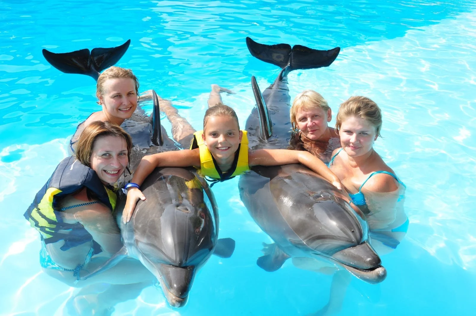 Swim with Dolphins in Sharm El Sheikh