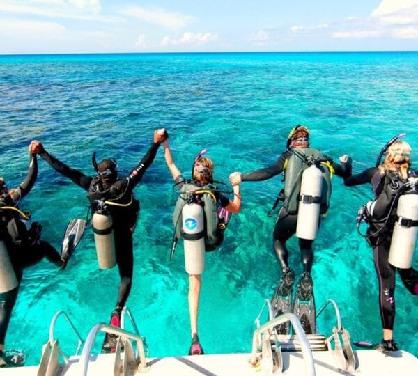 Diving In Ras Mohammed National Park Sharm El Sheikh