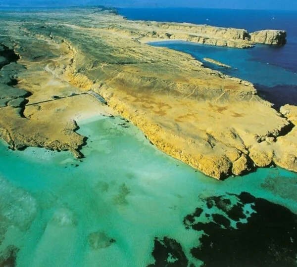 Egypt Tours