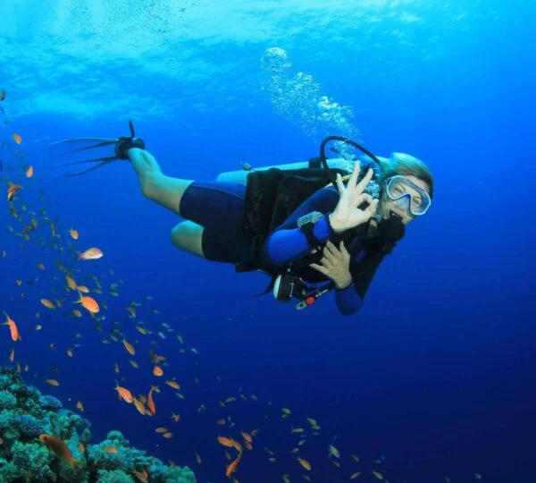 Egypt Tours
