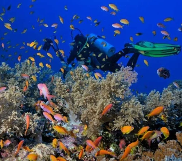 Egypt Tours