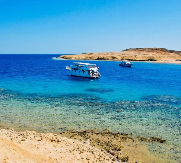 Egypt Tours