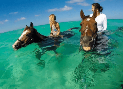 Horseback Riding from Sharm El Sheikh