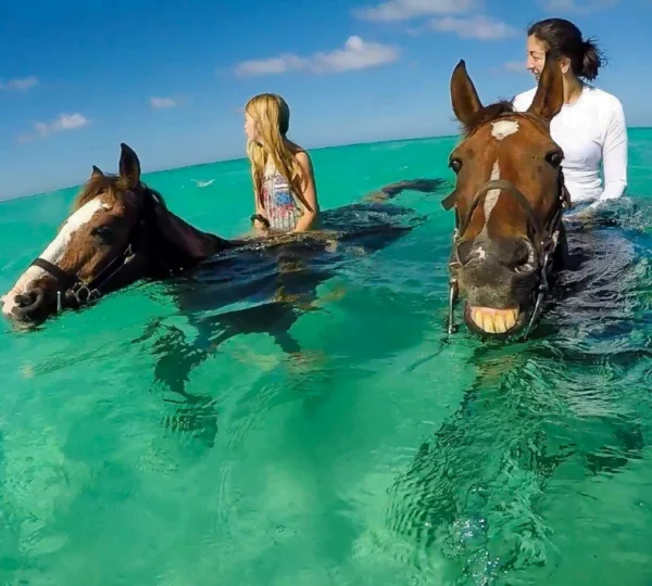 Horseback Riding from Sharm El Sheikh