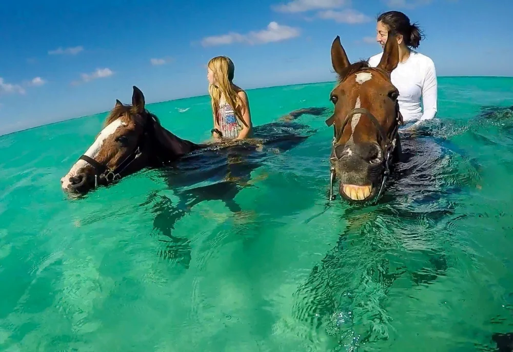 Horseback Riding from Sharm El Sheikh