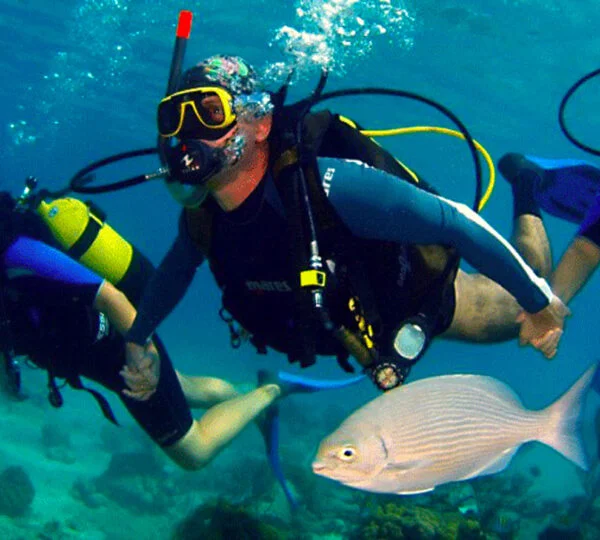 Egypt Tours