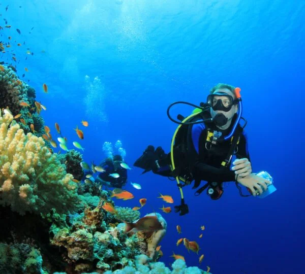 Egypt Tours