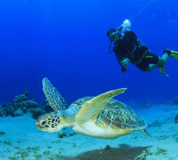 Egypt Tours