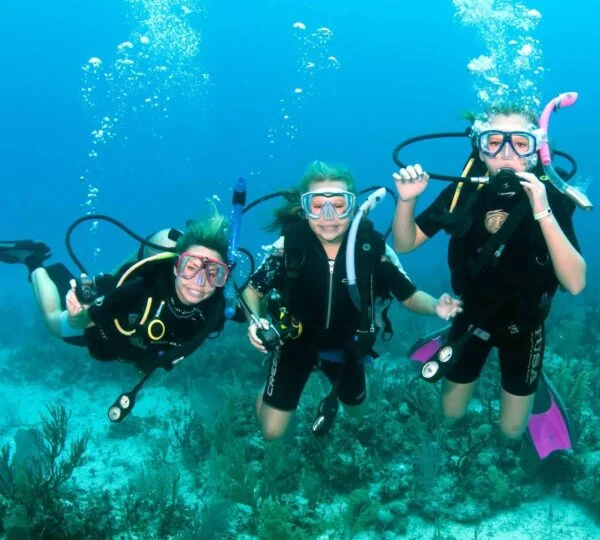 Egypt Tours