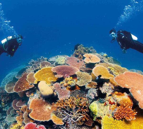 Diving in Ras Mohammed National Park