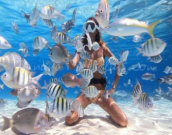 Egypt Tours