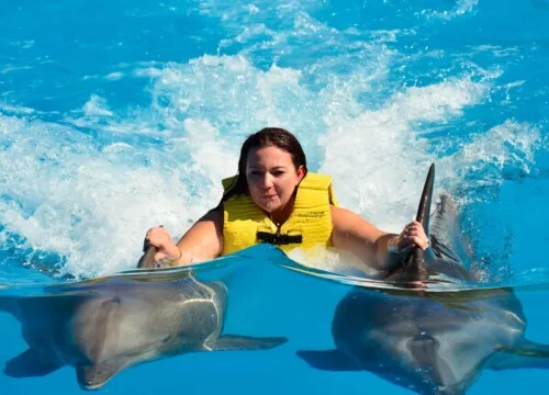Hurghada Dolphinarium – Swim With Dolphins for 5/10 Minutes