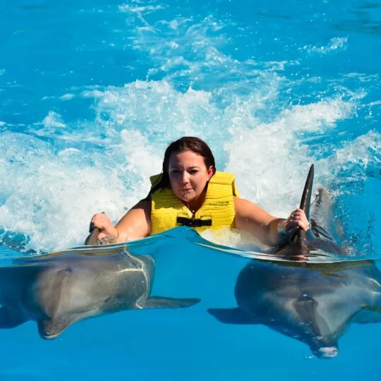 Hurghada Dolphinarium – Swim With Dolphins for 5/10 Minutes