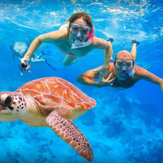 Hurghada & Sharm El Sheikh Tours