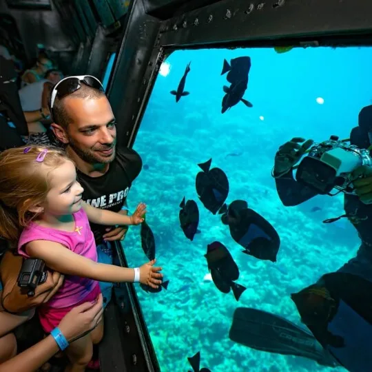 Egypt Tours