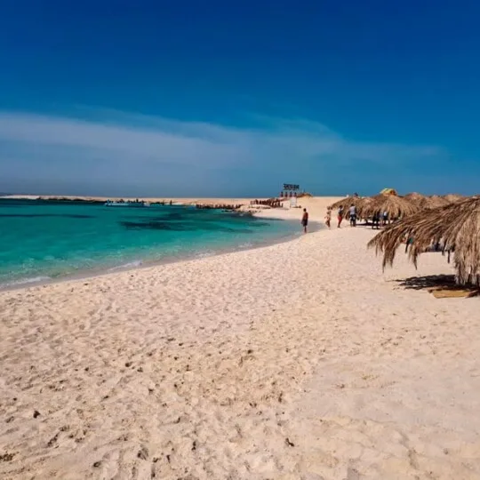 Egypt Tours