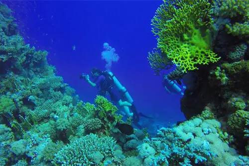 Scuba Diving in Hurghada – 2 Dives, Equipment & Lunch Included