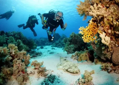 Intro Shore Diving with Private Transfer From Sharm Elsheikh