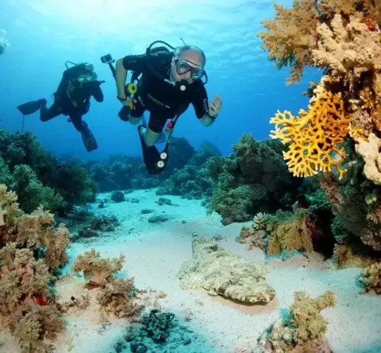 Intro Shore Diving with Private Transfer From Sharm Elsheikh