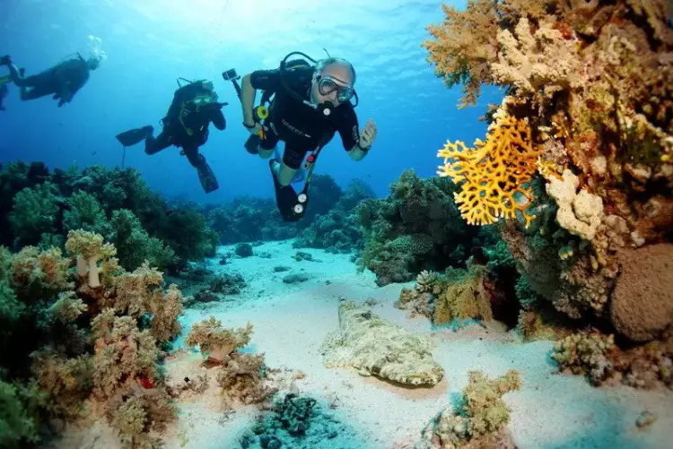 Intro Shore Diving with Private Transfer From Sharm Elsheikh