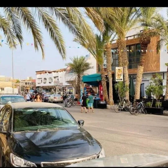 Egypt Tours